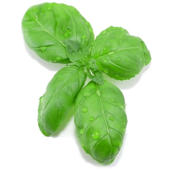 Basil Natural Flavor Infused Olive Oil